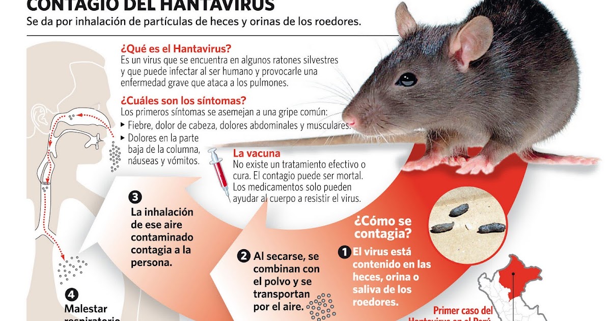 EMS SOLUTIONS INTERNATIONAL by DrRamonReyesMD marca registrada HANTA