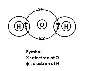 Water Molecule Dot And Cross Diagram | My XXX Hot Girl