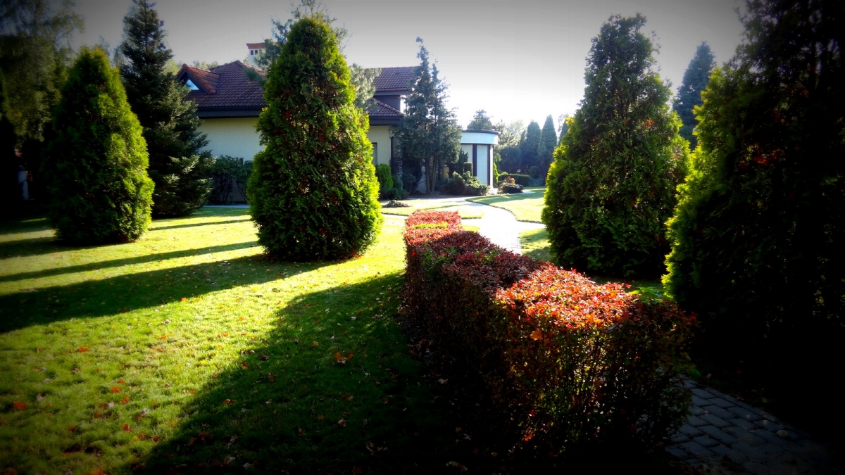 Domy Seniora w Polsce Prywatny dom