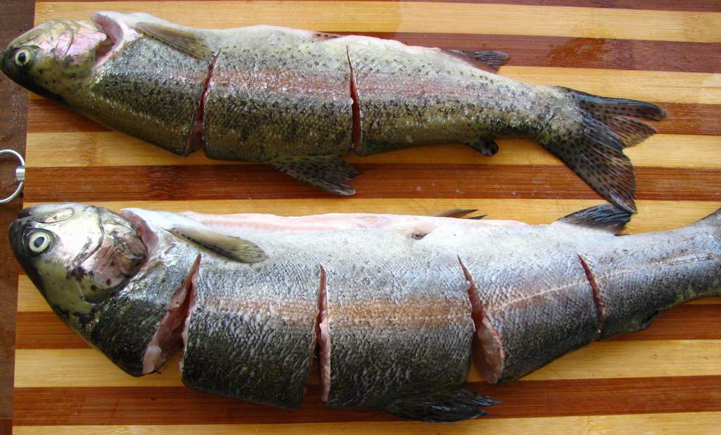 Картинки по запросу Ձուկ