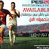 باتش بيس 2019 الدوري المصري بيس بروفيشيونال الاصدار الثاني PES 2019 Professionals Patch V2 AIO