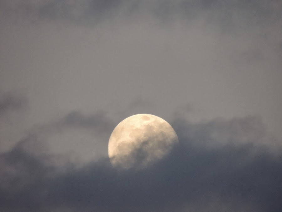 LA LUNA SALIENDO