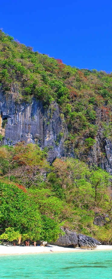 Best Philippines Place: Papaya Beach in El Nido