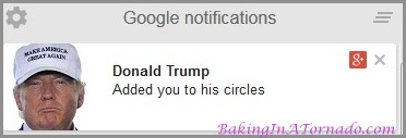 A Donald Trump follow on Google Plus | www.BakingInATornado.com | #humor #funny
