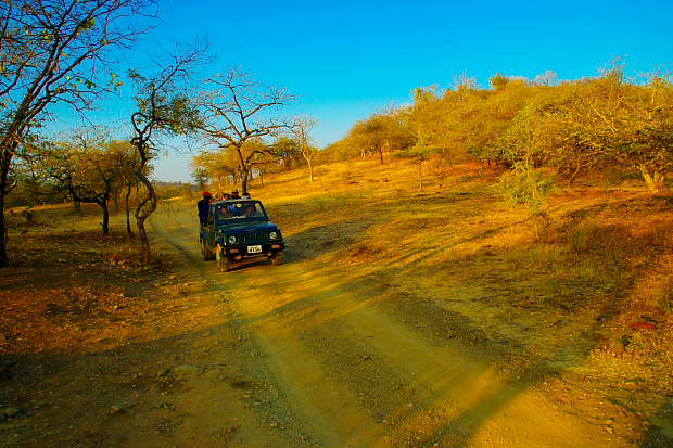 devalia safari park vs gir jungle trail