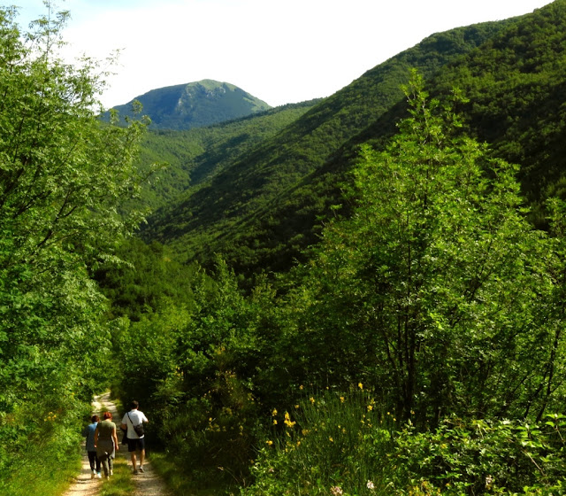Poggio San Vicino: sentiero dei Ginocchielli