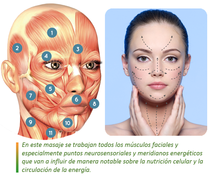MASAJE FACIAL