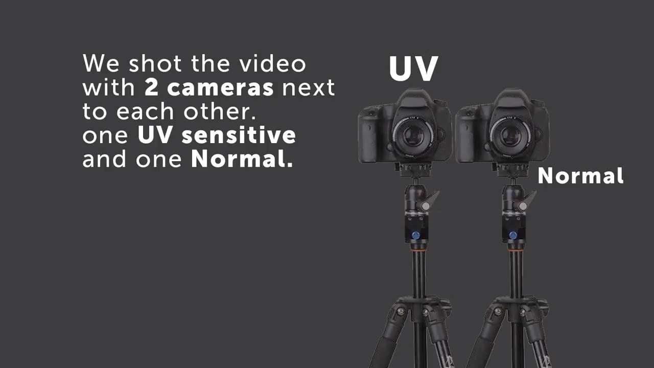 UV Camera Shows the Amazing Secrets Hidden in Your Skin Blog