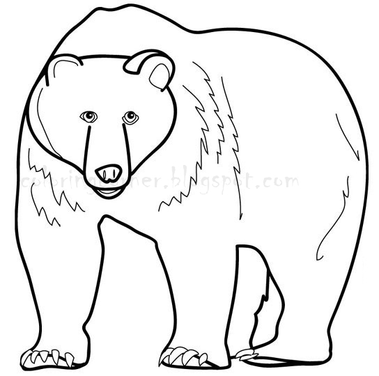 coloring pages of bears - photo #7