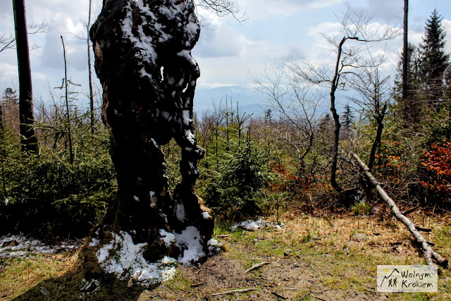 Szlak na Czupel - Beskidy - Korona Gór Polski