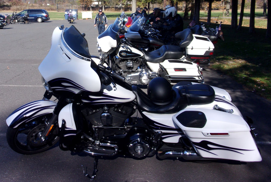 bear on a motorcycle