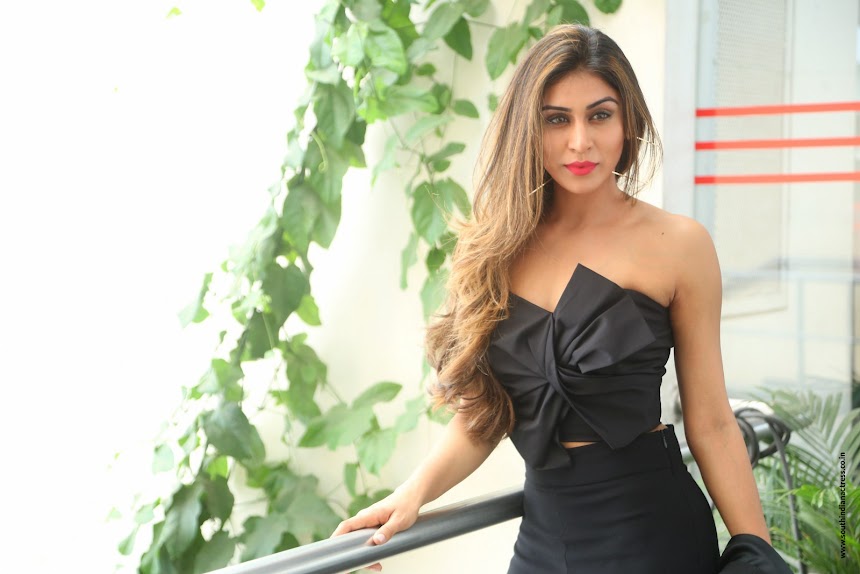 Myra Sareen at Officer movie Press Meet