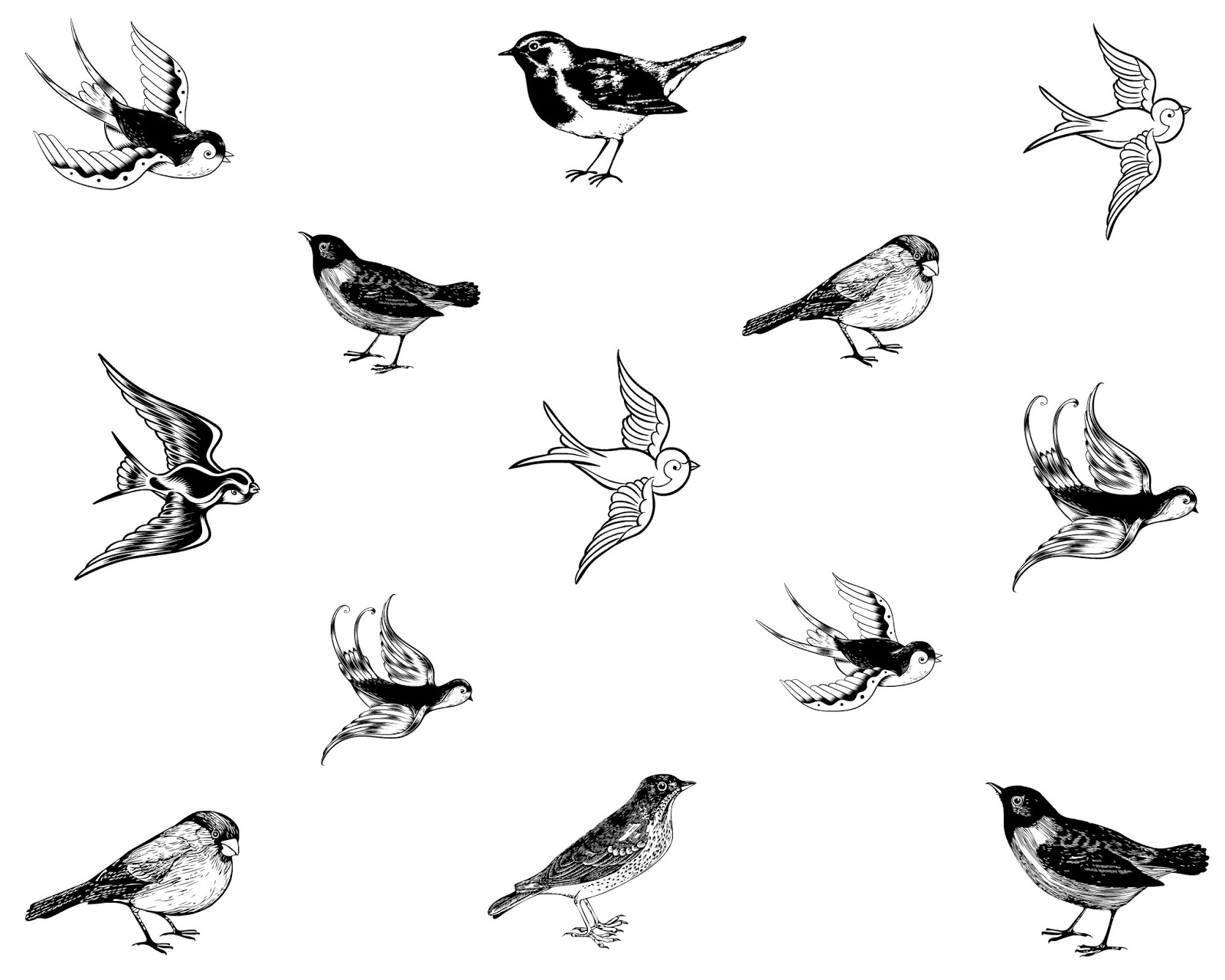 CJO Photo: Printable Black and White Art 8x10: Birds of a Feather