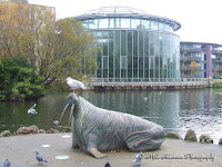 Sunderland Winter Gardens