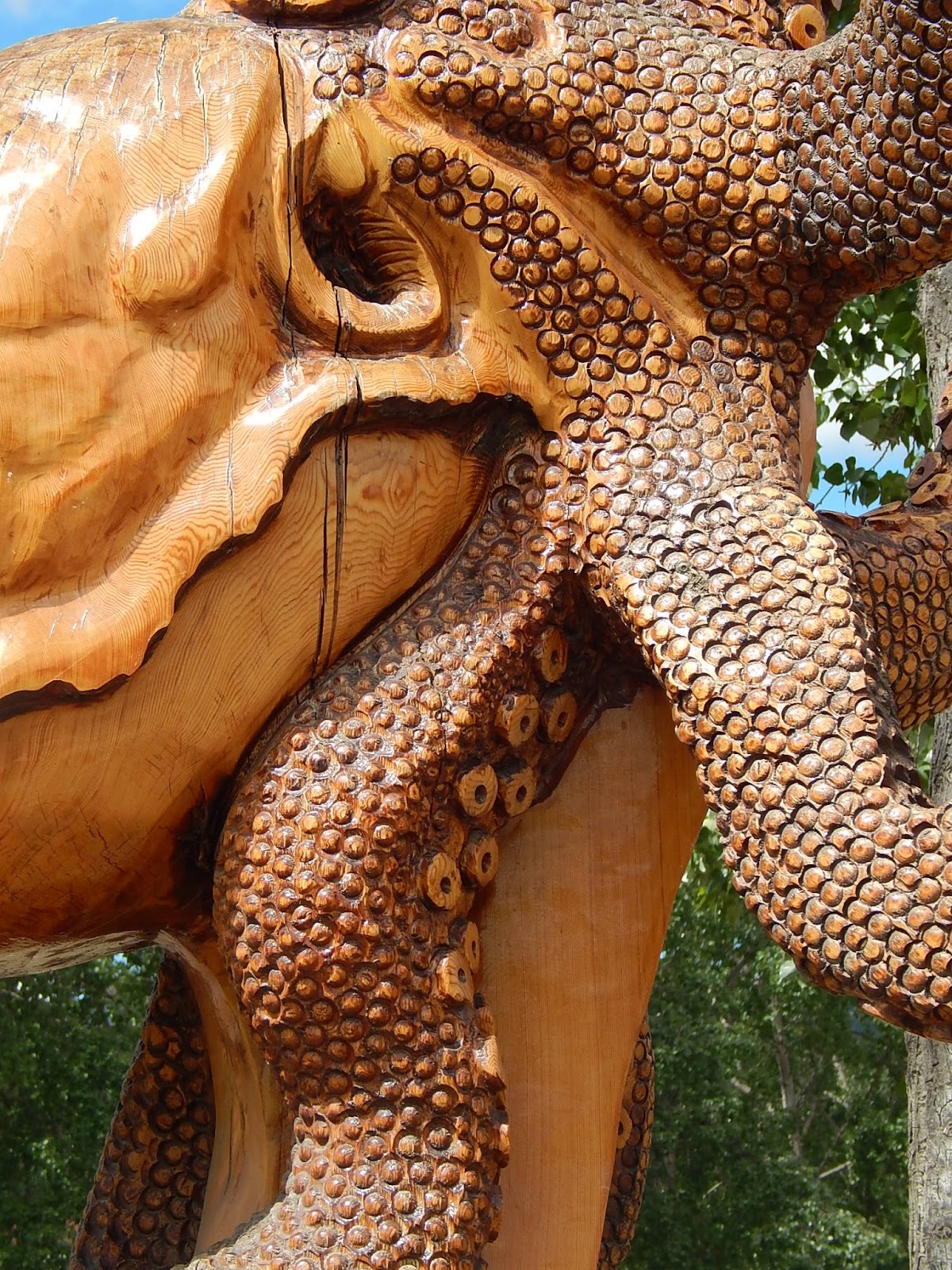 Ray and Cindy's RV Travels Chain Saw Carving