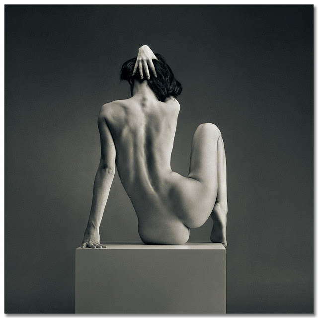 © Vadin Stein 2009
