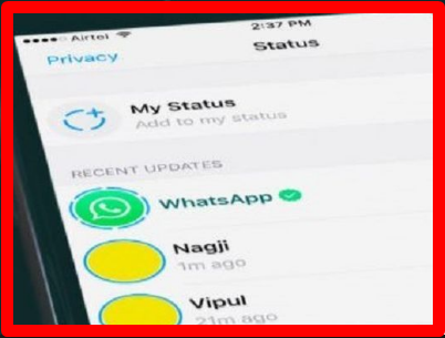 Cara Menyimpan Status Whatsapp Orang Lain