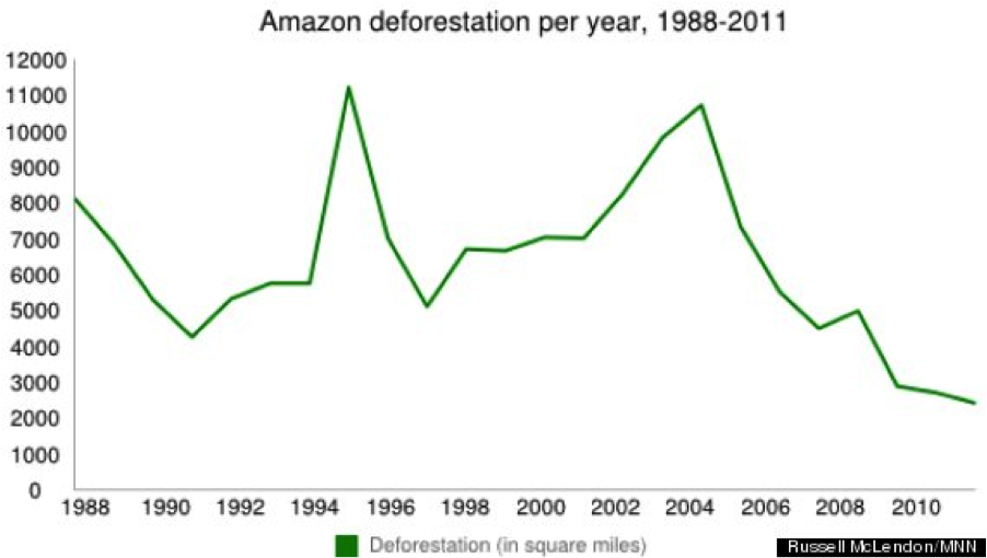 The Amazon Rainforest Current Human Impacts on the Ecosystem