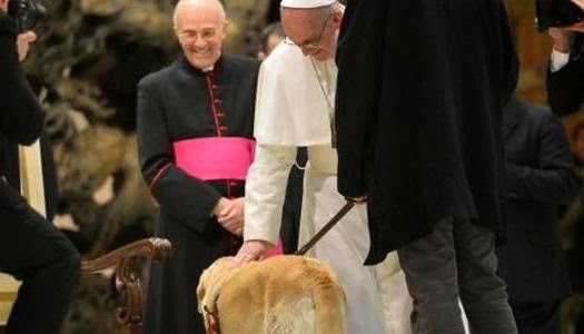 Papa Francisco los perros van al cielo