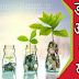 Post Office Recurring Deposit Account (RD) डाकघर आवर्ती जमा खाता