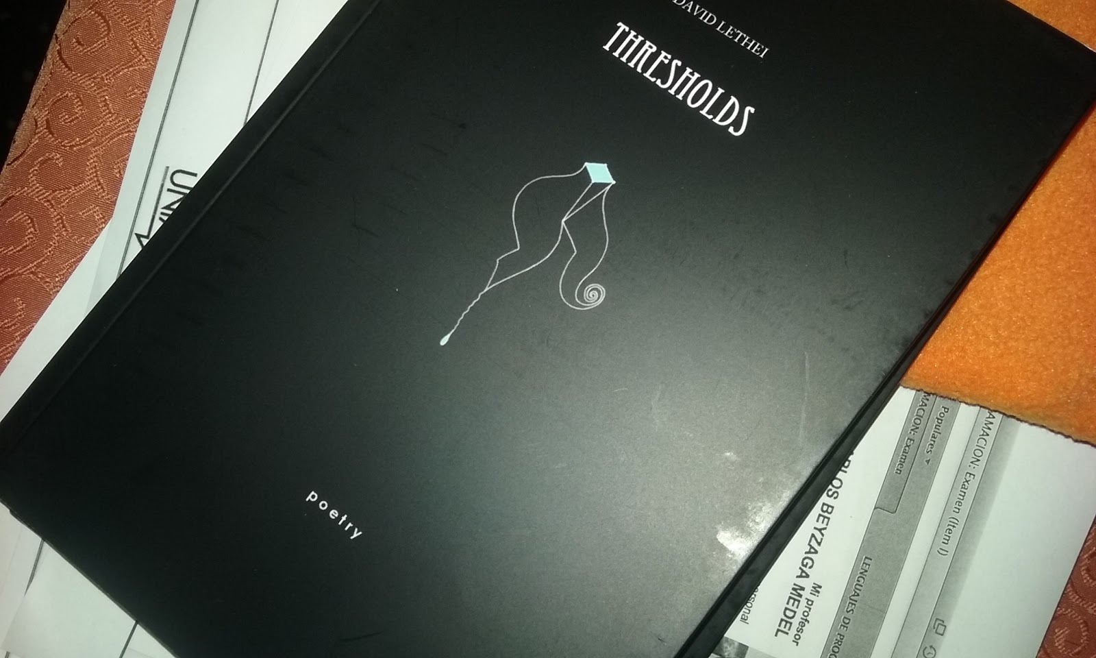 Ediciones y Producciones ORLANDO Libros de DAVID LETHEI THRESHOLDS