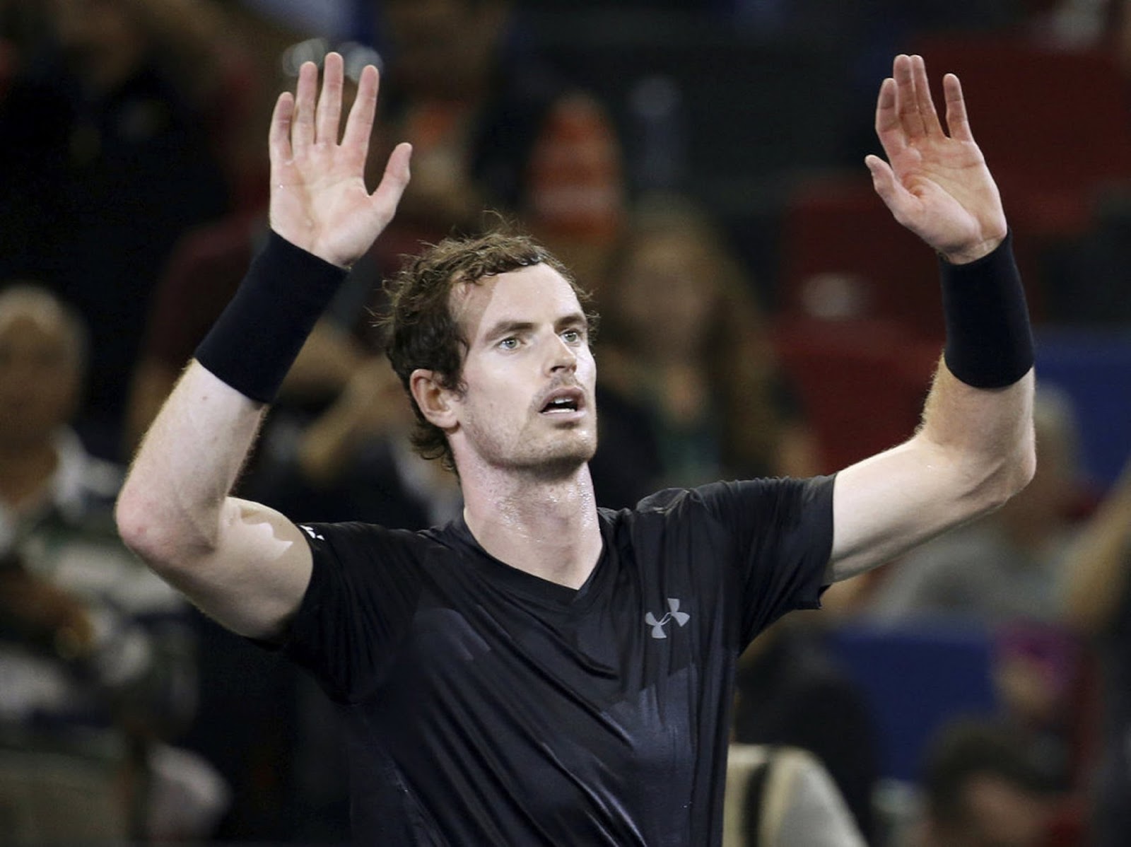 ANDY MURRAY 6