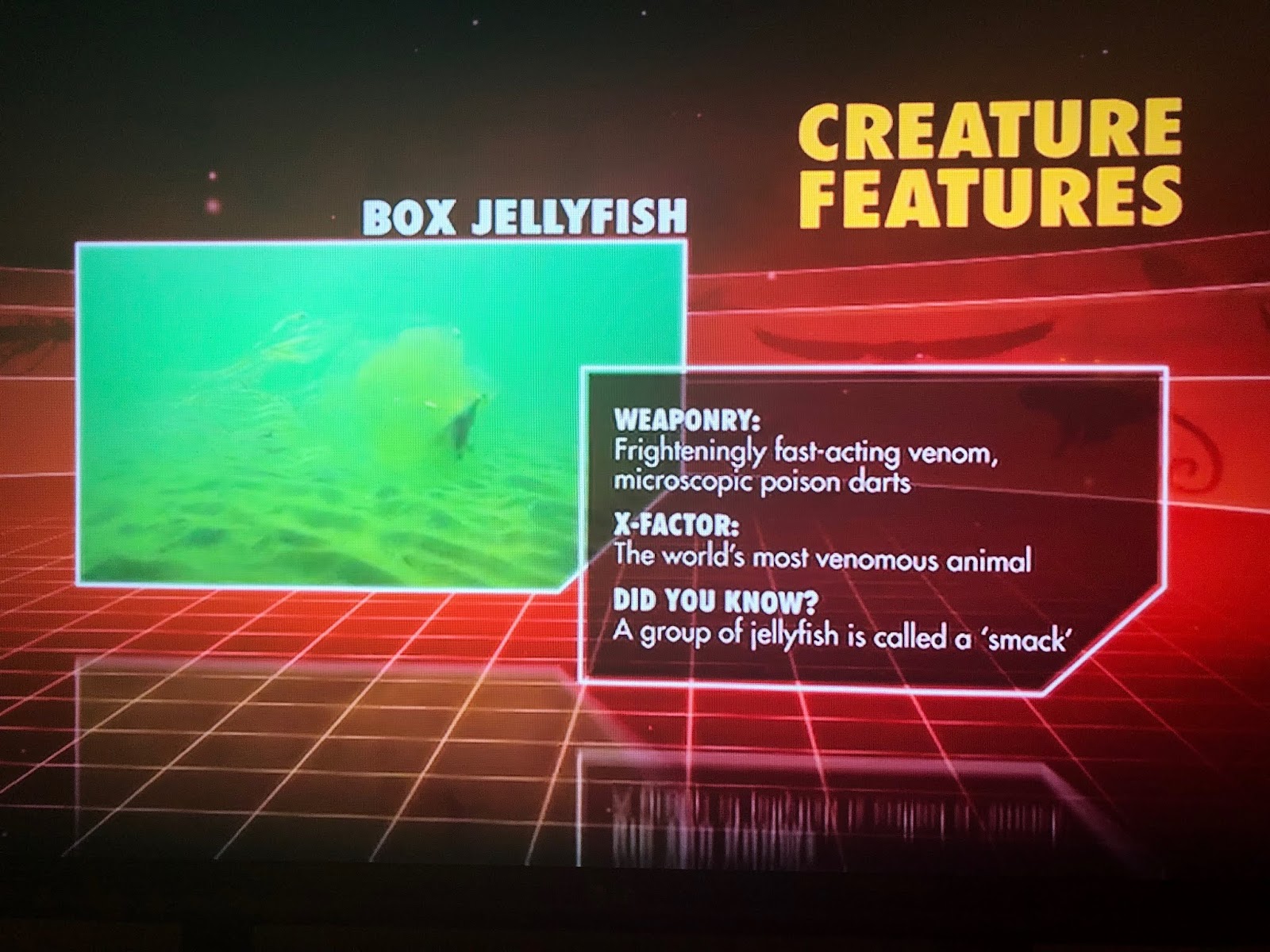 Can Box Jellyfish Top This Netflix List?