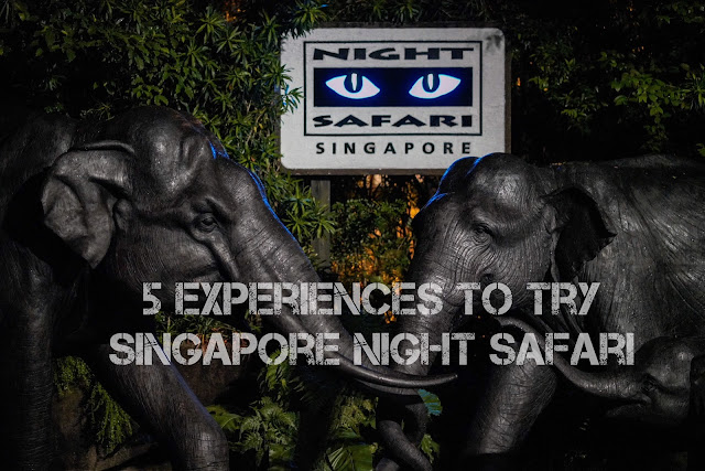 Singapore Night Safari Review : 5 must do experiences 