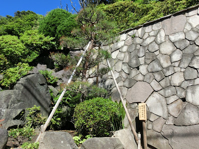 ���@�U���|��