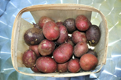 rote Kartoffeln