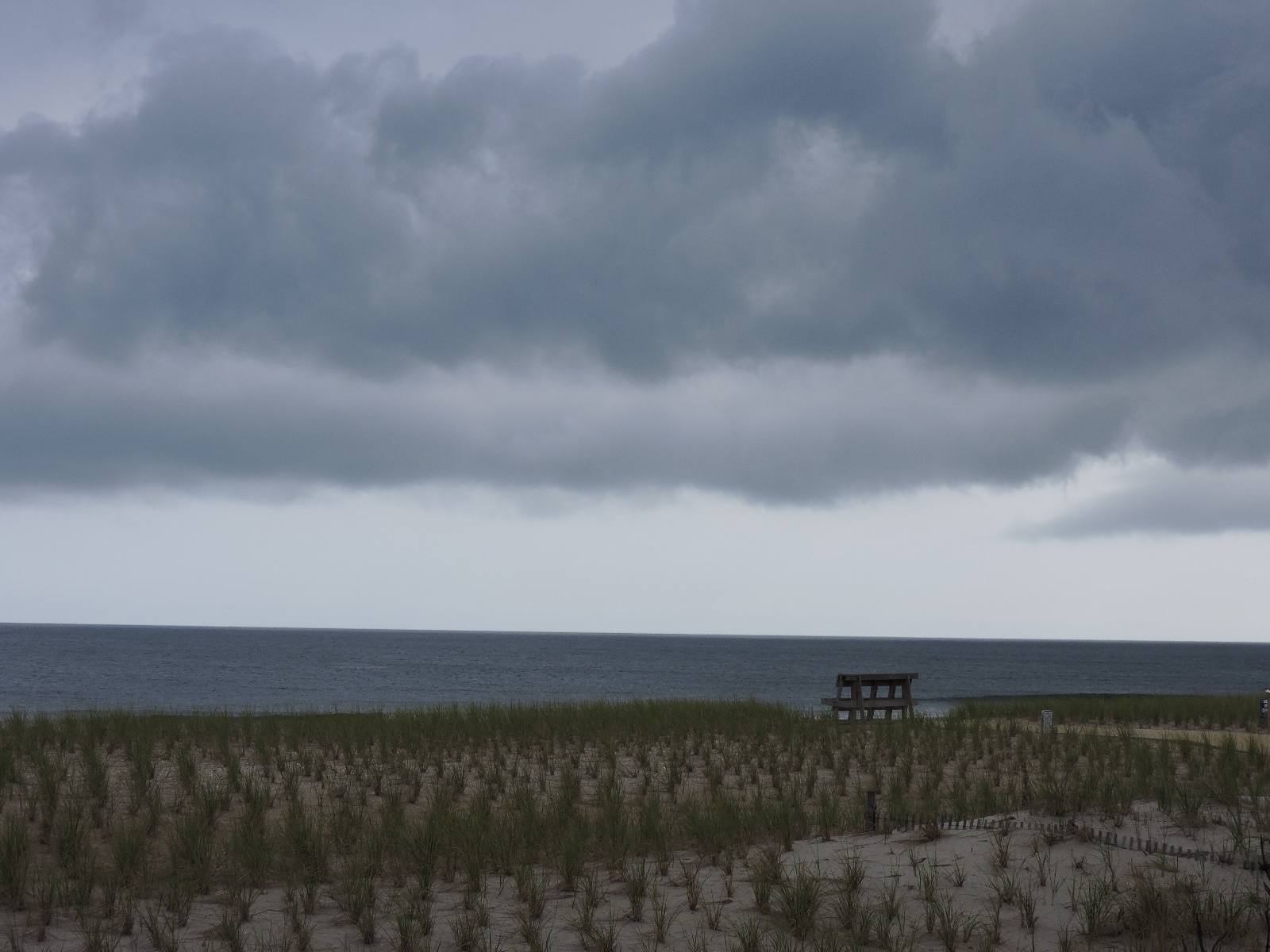 Sweet Bee Buzzings Blue skies. Clouds. No, wait...blue skies....no