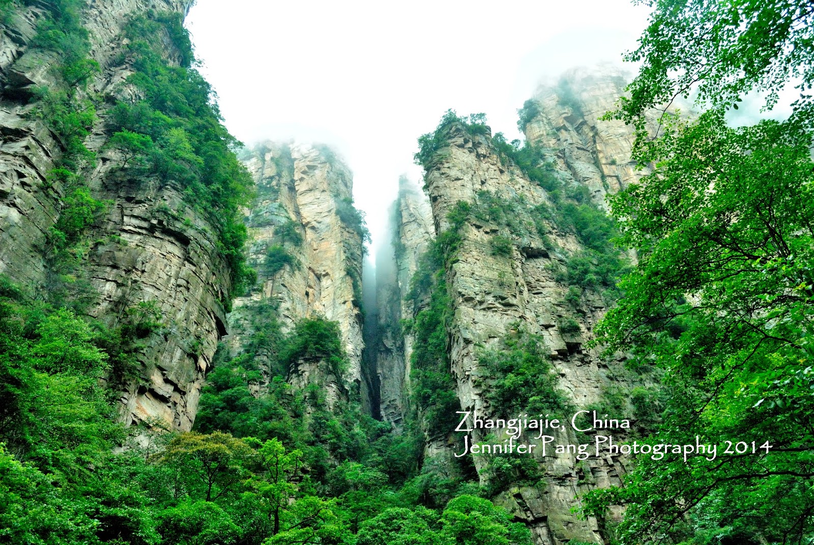 Zhangjiajie National Forest Park China The Overall Avatar Experience In Trekking Zhangjiajie