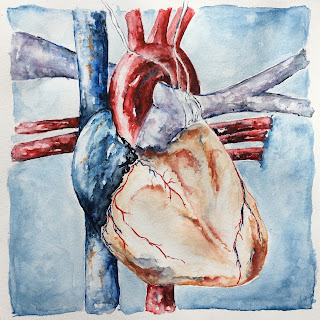 anatomical heart watercolor artist Sharon Warren smalti mosaic orsoni Italian anatomy anatomical heart watercolor artist Sharon Warren smalti mosaic orsoni italian anatomy