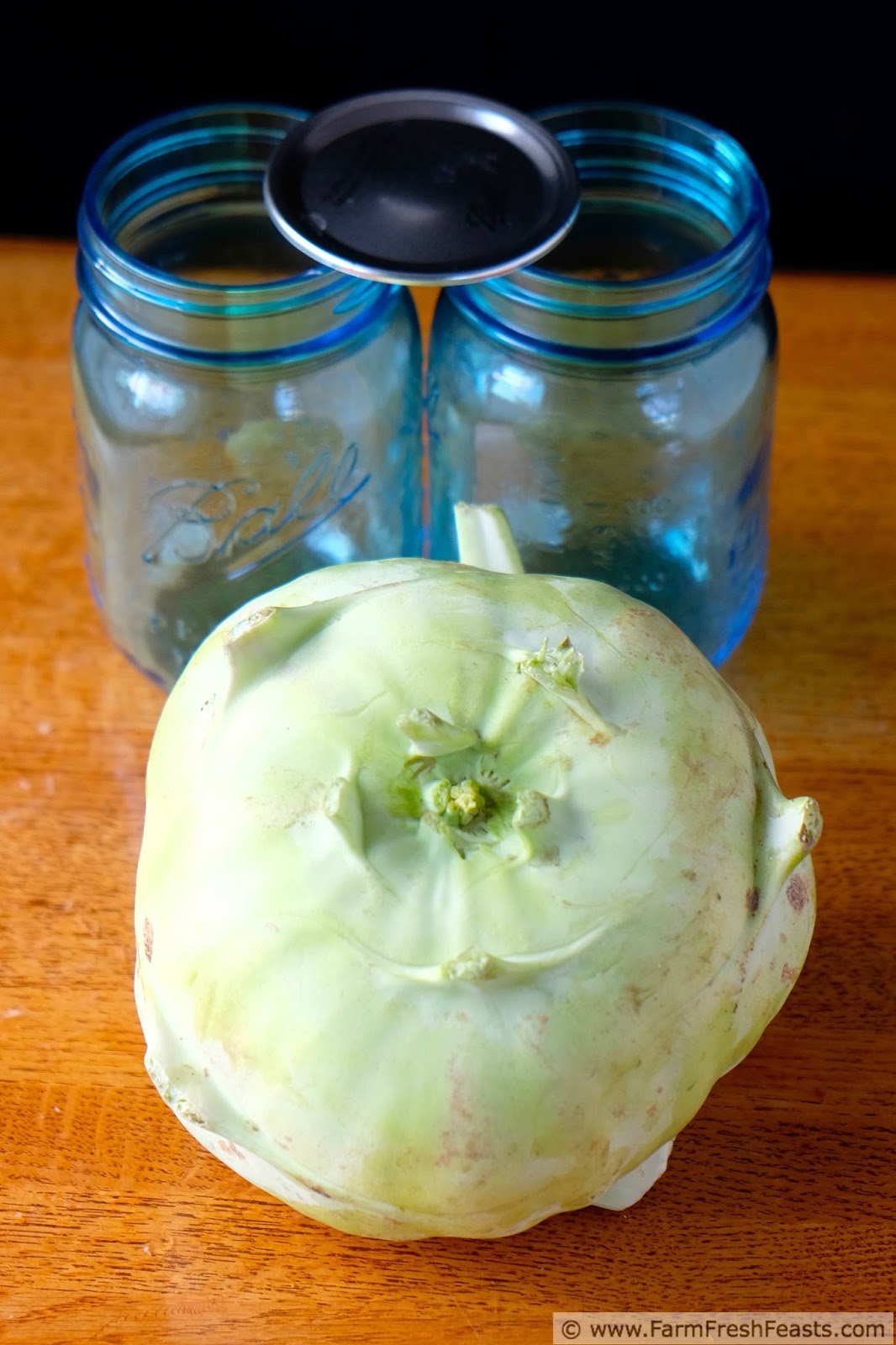 Farm Fresh Feasts: Kohlrabi Dill Pickles