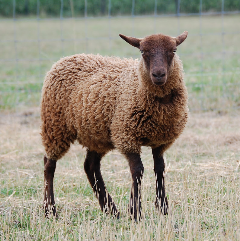 Crosswinds Farm August 2012