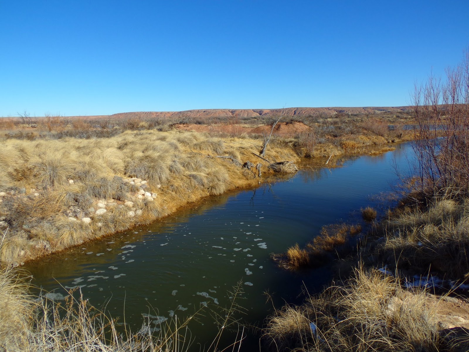 Bitter Lake National Wildlife Refuge New Mexico