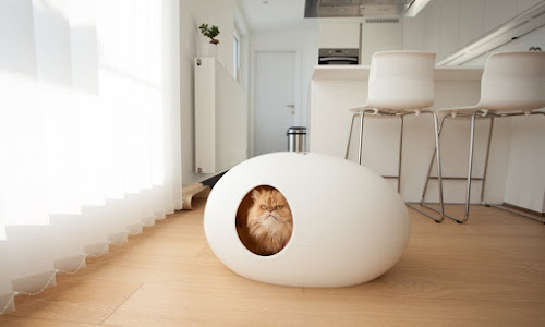 Casa para gatos ovalada Casa para gatos ovalada