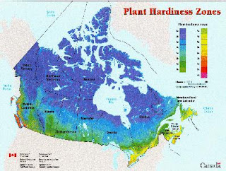 Plant hardiness zones - US, Canada, Europe, Australia, India, China ...