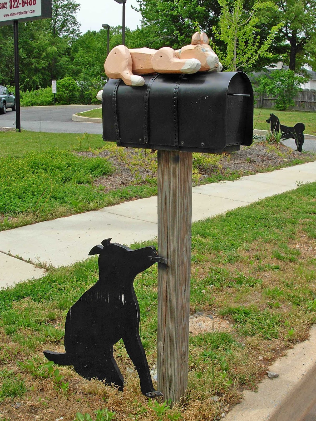geographically yours bear delaware usa
