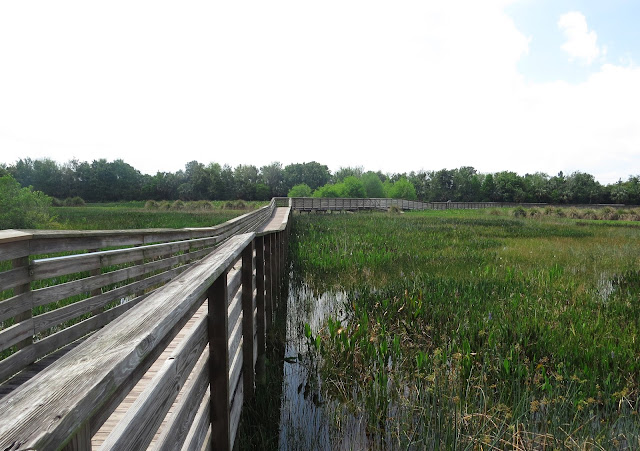 Green Cay Wetlands, Florida Green Cay Wetlands, Florida