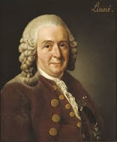 Linné naturalista sueco