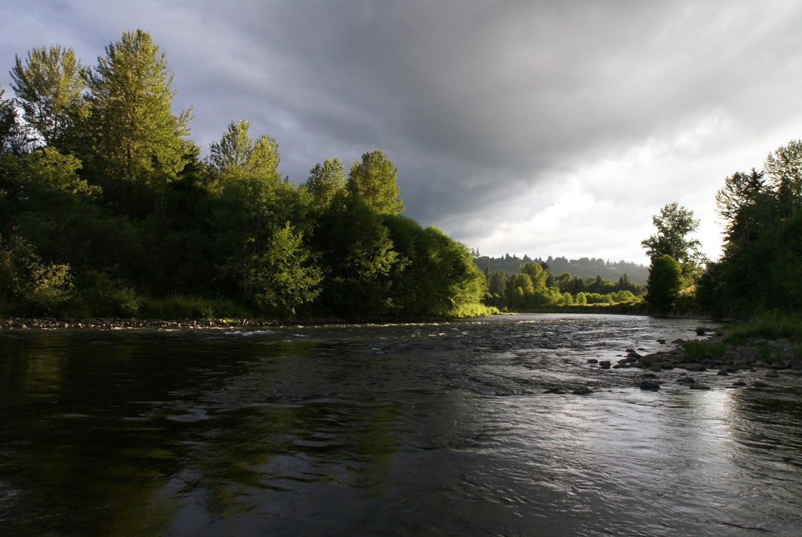 Clackamas Summer Steelhead Water Time Outfitters