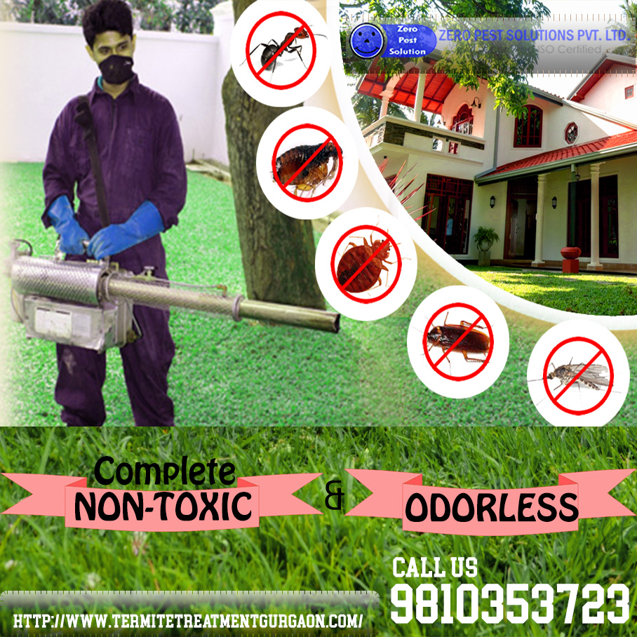 Pest Control Services Non Toxic Pest Control Services