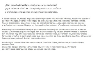 Respuestas Apoyo Primaria Ciencias Naturales 4to Grado Bloque II Tema 2 Otros seres vivos: los hongos y las bacterias