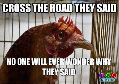 Cross the road they said, funny chicken meme picture