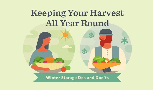 Keeping Your Harvest All Year Round Winter Storage Dos and Don’ts