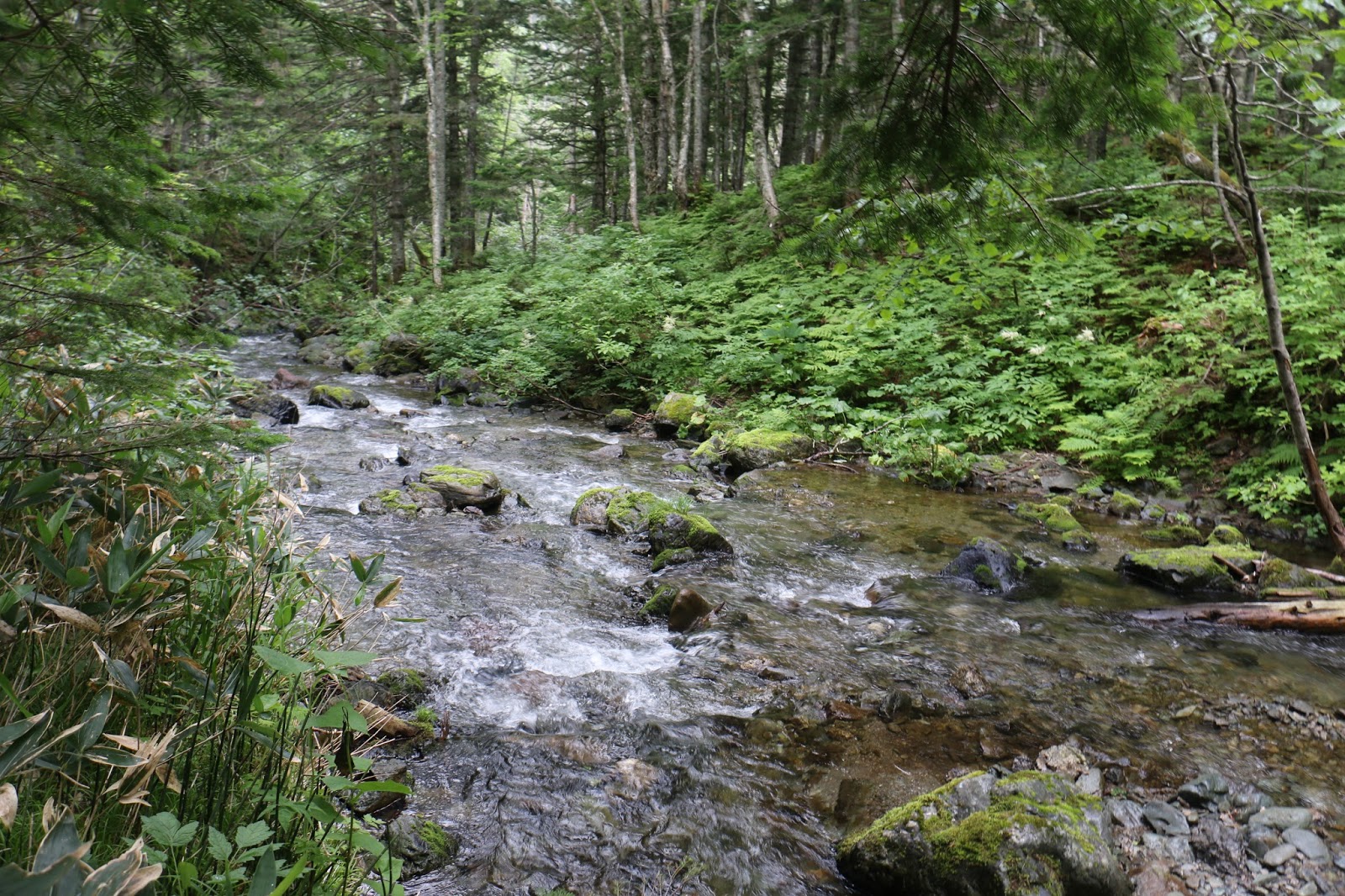 Водопад Айхор на Сахалине фото