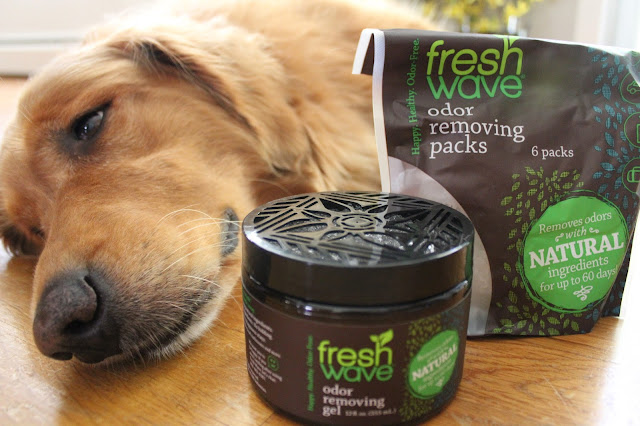 Removing pet odors with Fresh Wave gel #happyhealthyodorfree