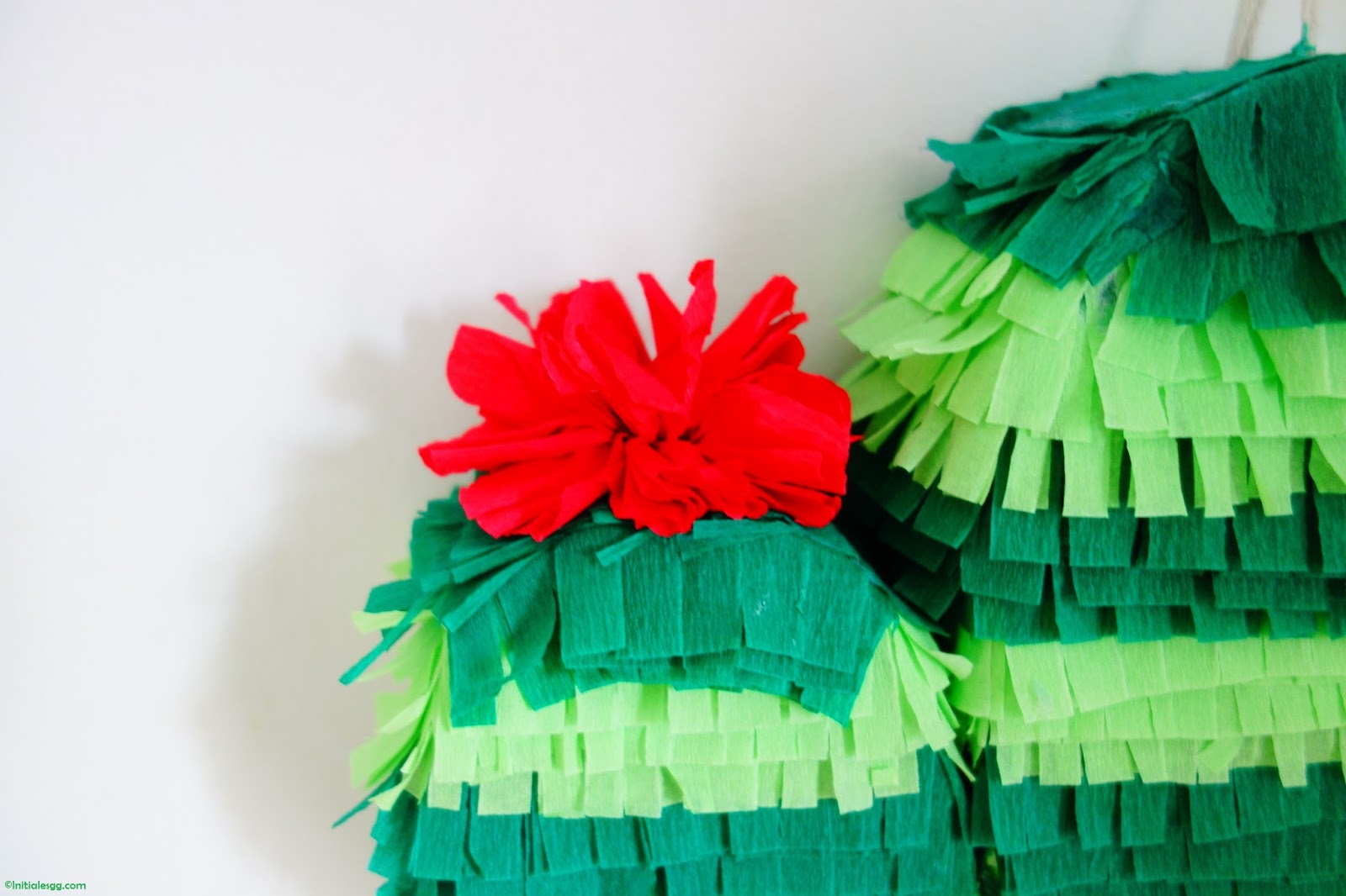 {DIY} Une piñata Cactus ! Initiales GG