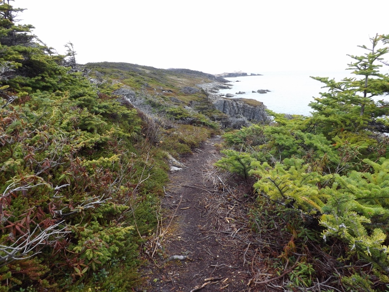 Roadside Chronicles Life On The Road Day 23 Little Catalina, NL to